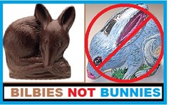 Easter-bilby