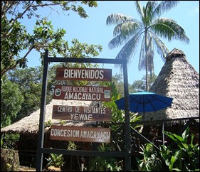 P  N N AMACAYACU