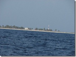 Roncador (1)