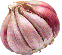 ajo