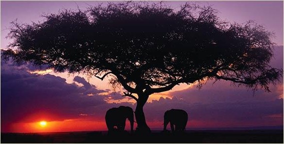 botswana