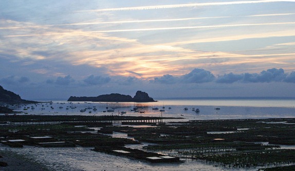 cancale-oyster-beds-