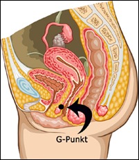 g-punkt
