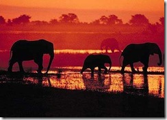 namibia 1