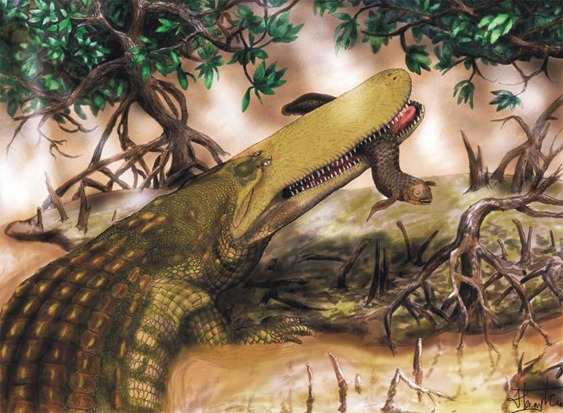 shield-crocodile