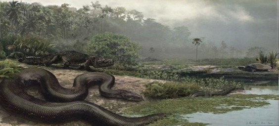 titanoboa.1