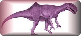 Concavenator c