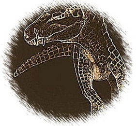 CrocDog-illustration_web-Hans-Larsson1-