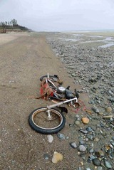 Harley-Davidson-beach- canada