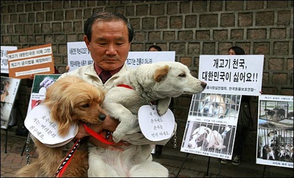 동물사랑실천협회, 한국동물보호연합 회원들은 25일 낮 서울 서소문 시청 별관앞에서 '개를 가축화하여 개고기를 위생관리하겠다'는 서울시의 개고기 합법화 정책을 규탄하는 시위를 벌였다.