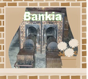 bankia3