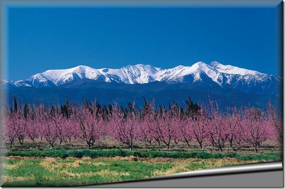 canigou1