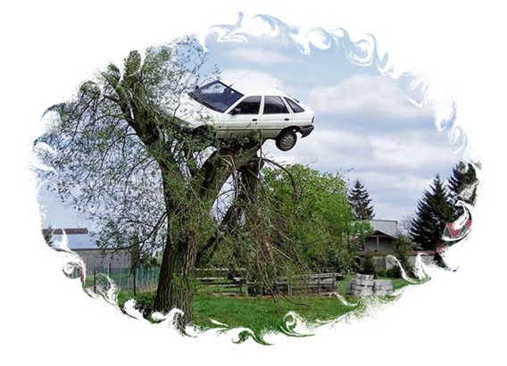 coche en el árbol