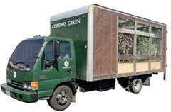 compass green