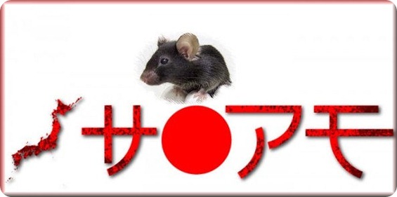 JAPÓN RATÓN CANTAOR
