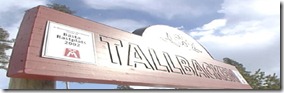 TALLBACKEN_4