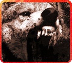 lobo3
