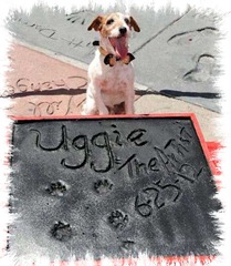 uggie_walk_fame
