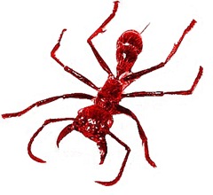 bullet ant-