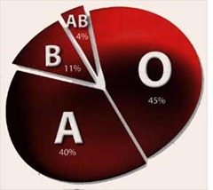 Distribution of blood groups in the USA