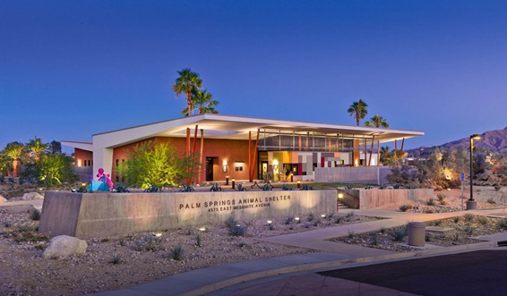 Palm Springs  Animal Shelter