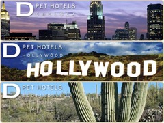 d-pet-hotels-