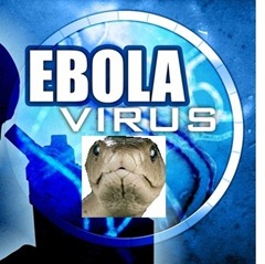 ebola_