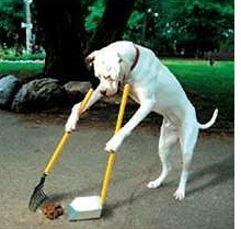 perro-barre-caca