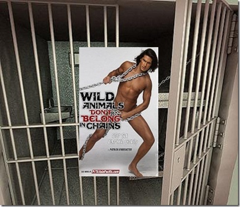 prison_bars