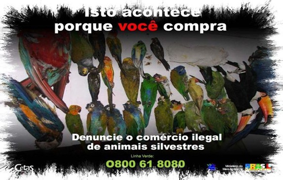 CETAS---((