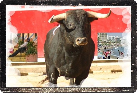 toro