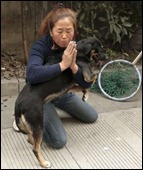 china1