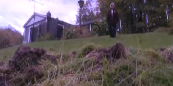 jardín_destrozado_en_skåne