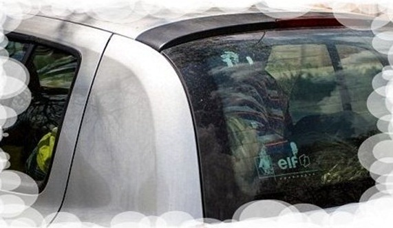 r clio---