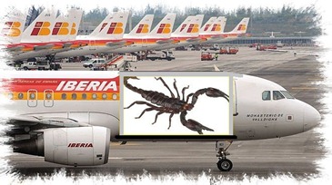 Iberia-Barajas