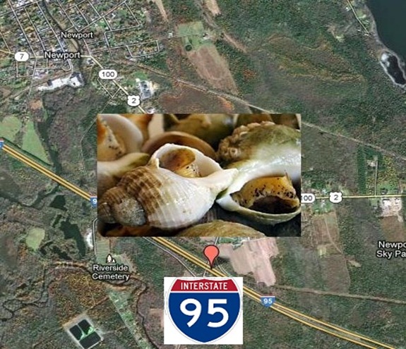 Newport_I_95-