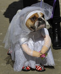 desfile de halooween n y AFP  TIMOTHY A. CLARY