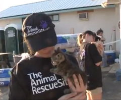 help_pets_affected_by_hurricane_sandy_at_the_animal_rescue_site