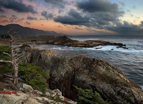Headland Cove Point Lobos California
