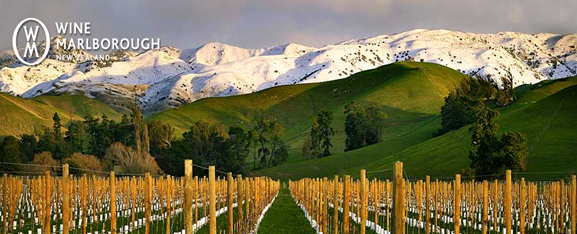 Marlborough
