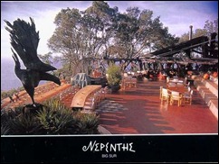 Nepenthe rest