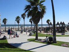 Venice-Beach-los-angeles