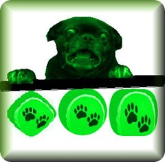perro-pelota-tenis-