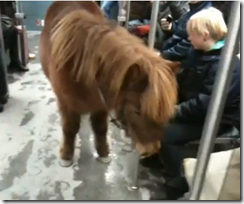 pony_berlín