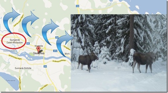 Sjungande_dalen_Skellefteå