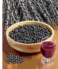 acai