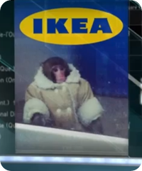 macaco--ikea