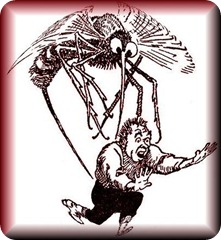 MOSQUITO1