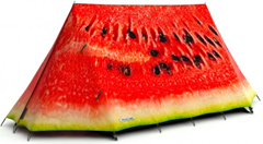 fieldcandy_punto_com