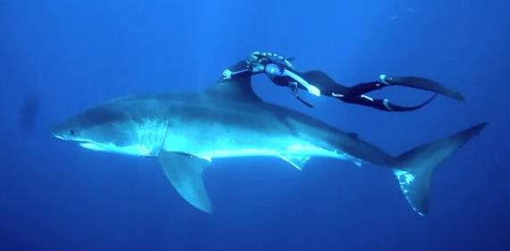 ocean_ramsey